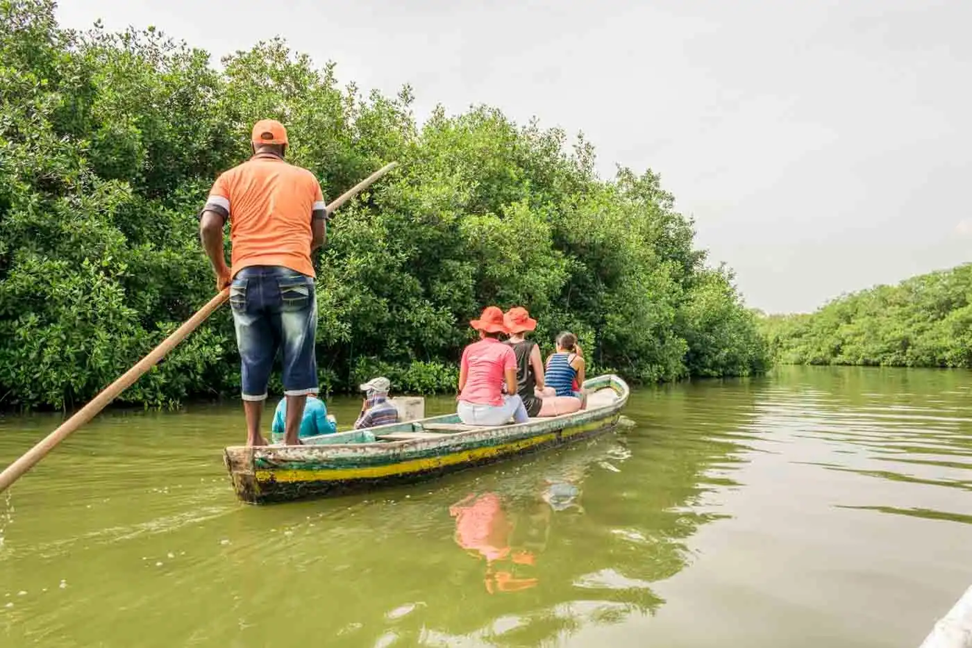 Day Tour por los Manglares