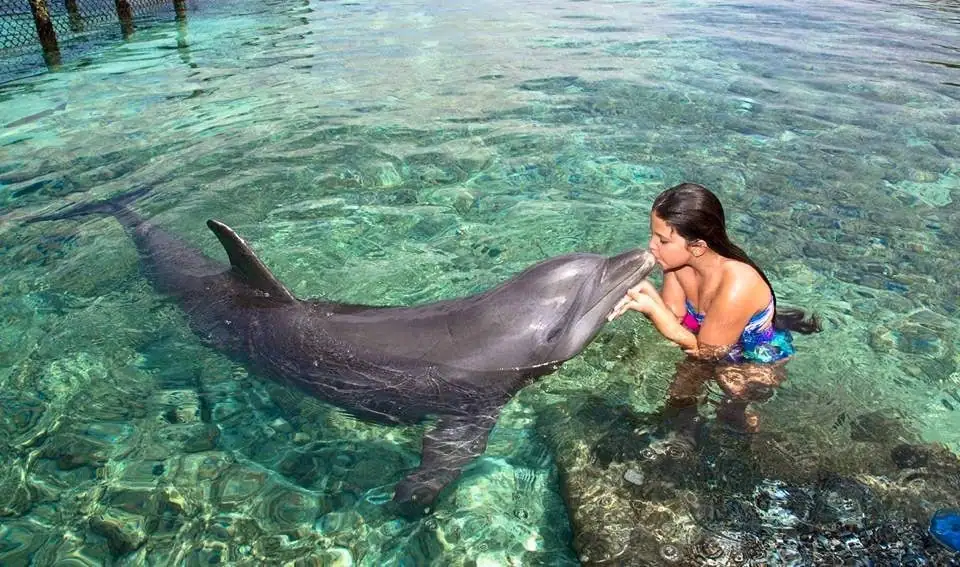Tour al Acuario y Barú