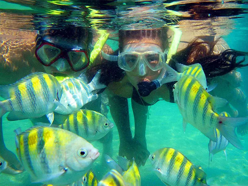 Snorkeling y Mapaches